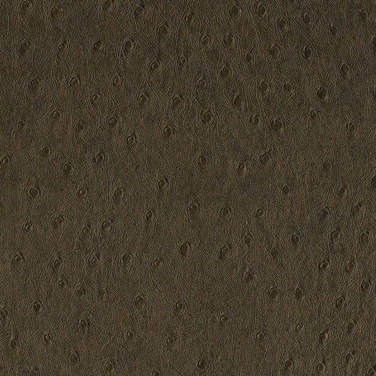 Balule 01 Chocolate