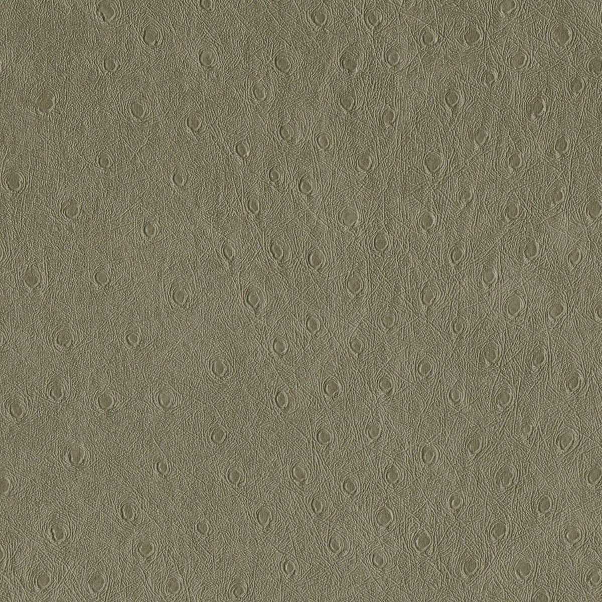 Balule 02 Mocha