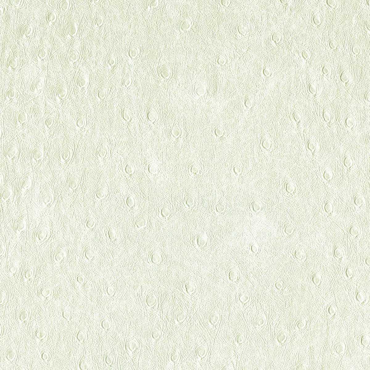 Balule 03 Snowdrop