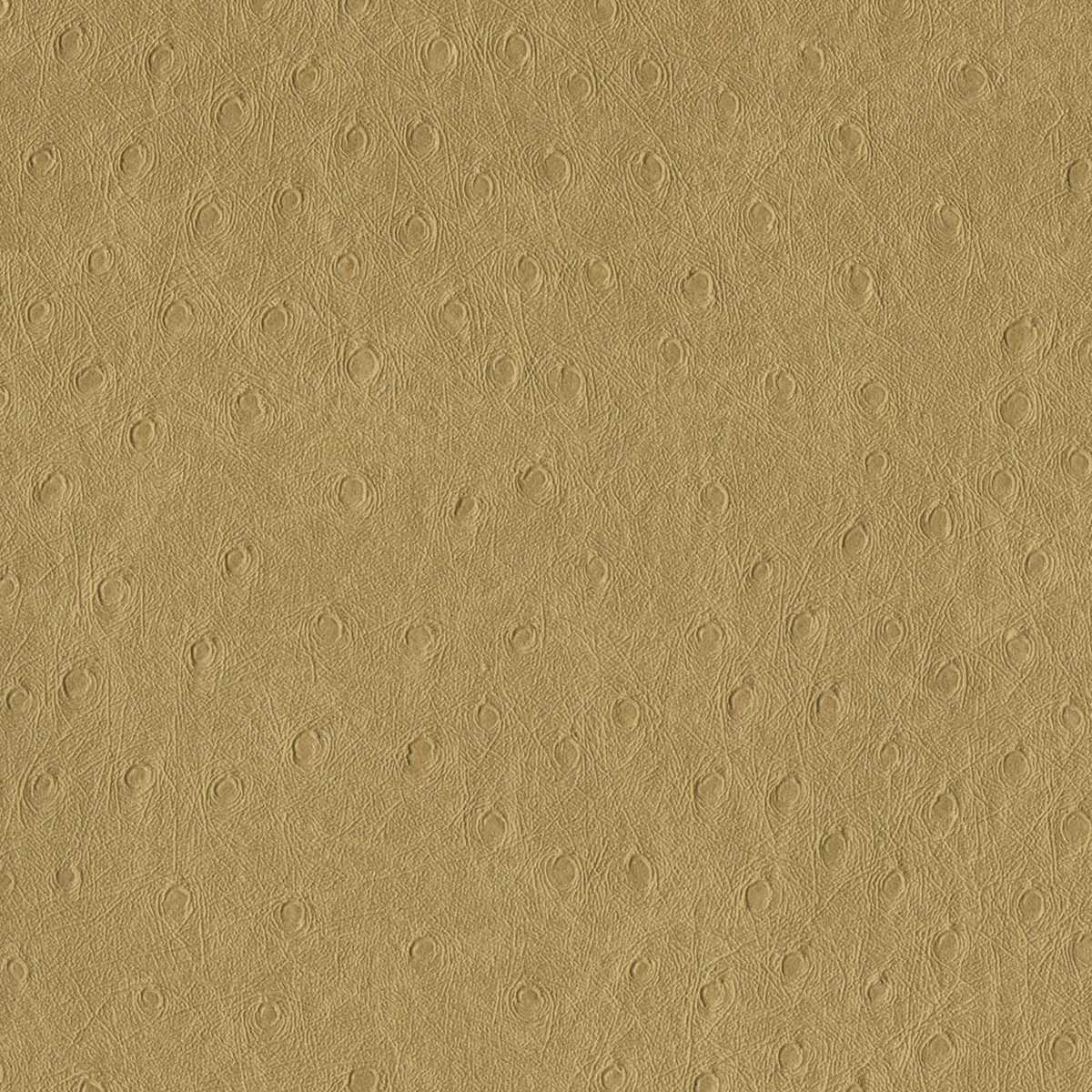 Balule 04 Brown Sugar