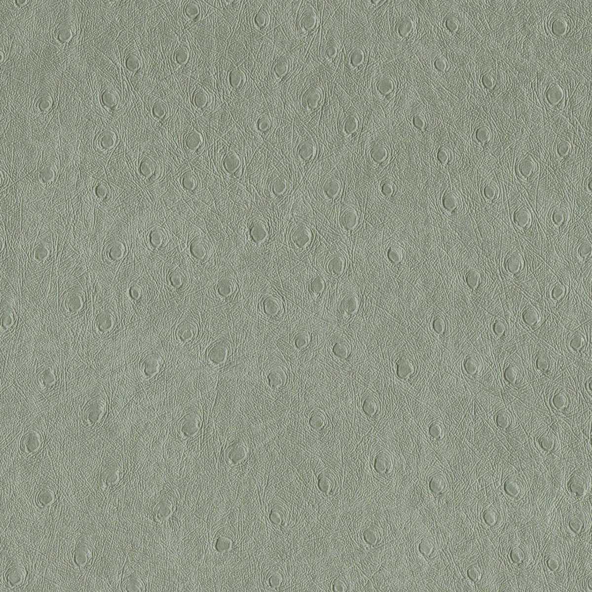 Balule 06 Metal
