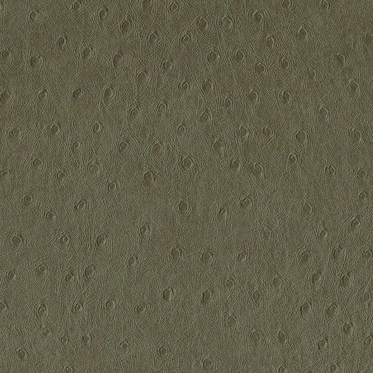 Balule 07 Shale