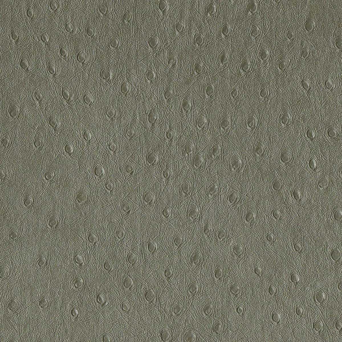 Balule 08 Steeple Grey