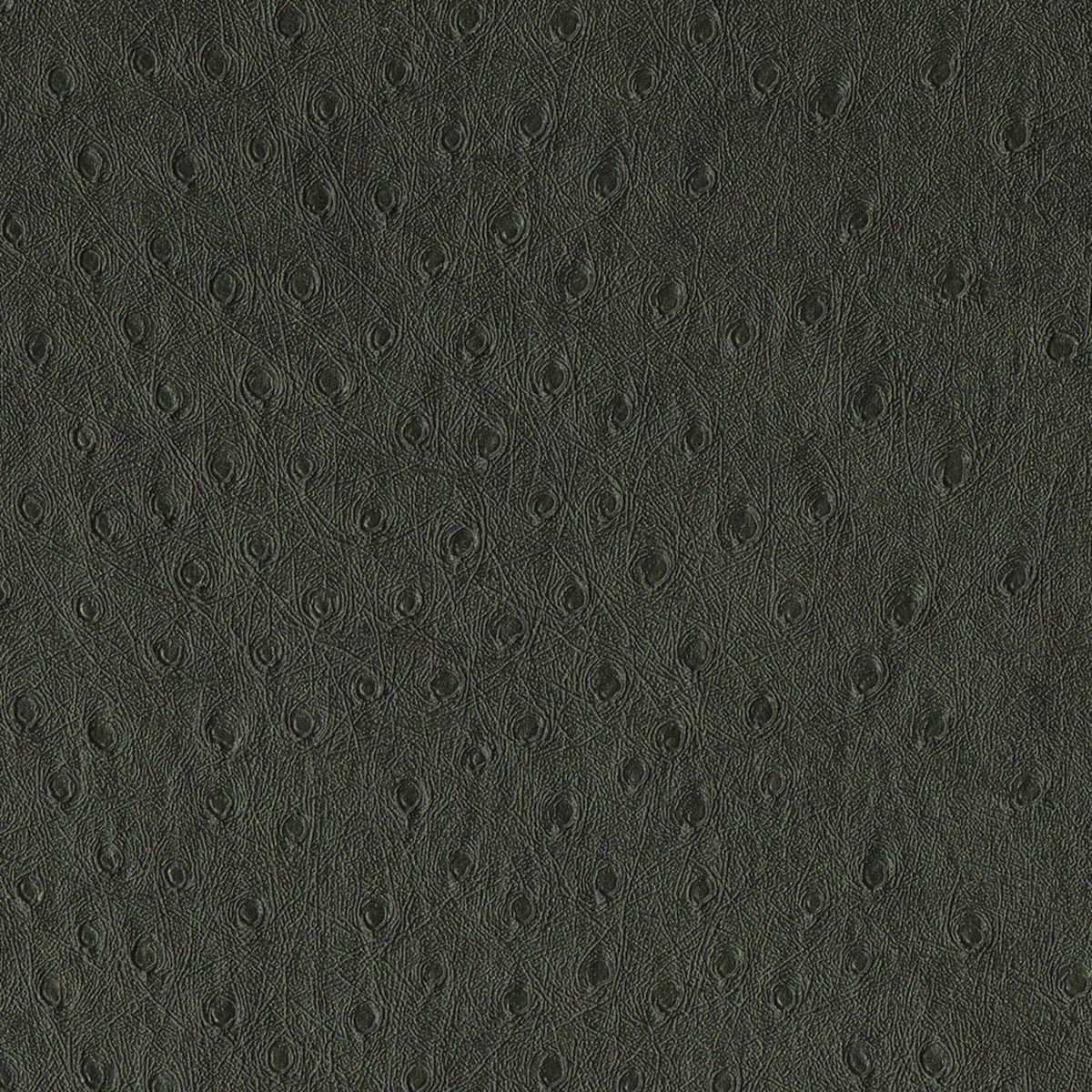 Balule 09 Charcoal