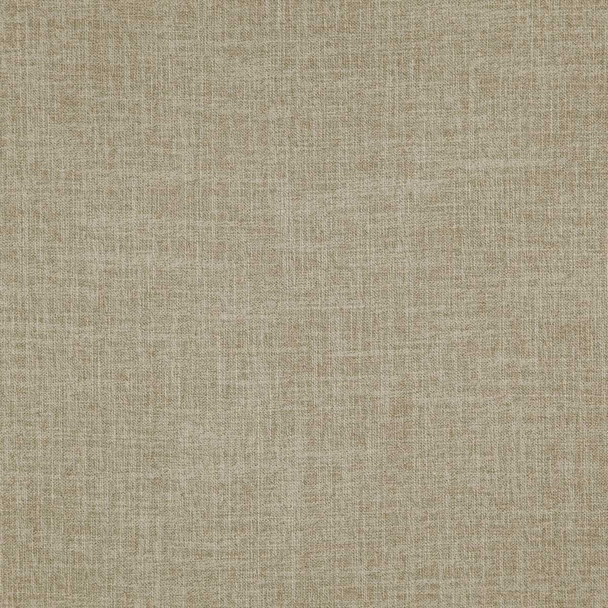 Bobal 02 Seagrass