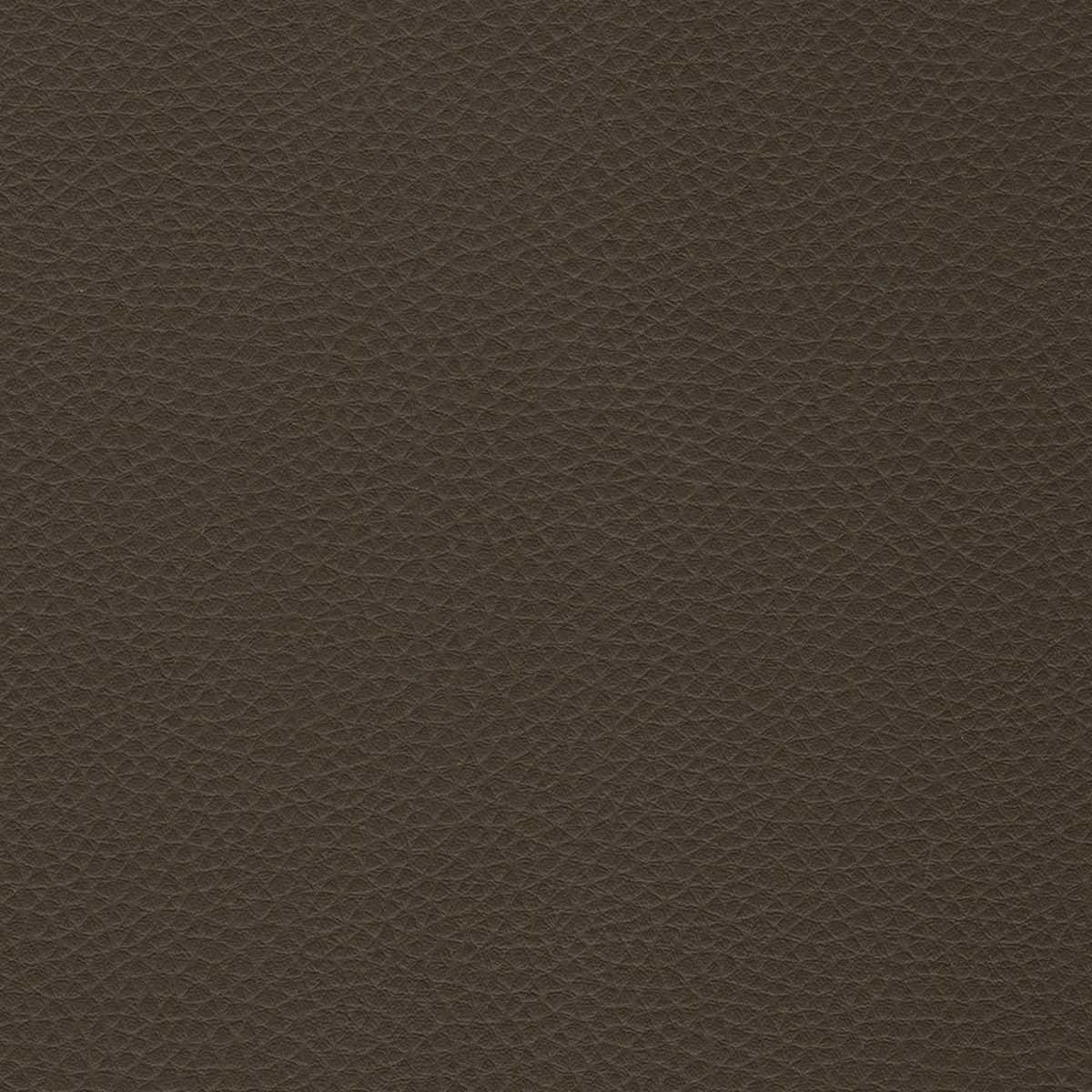 Capella 02
