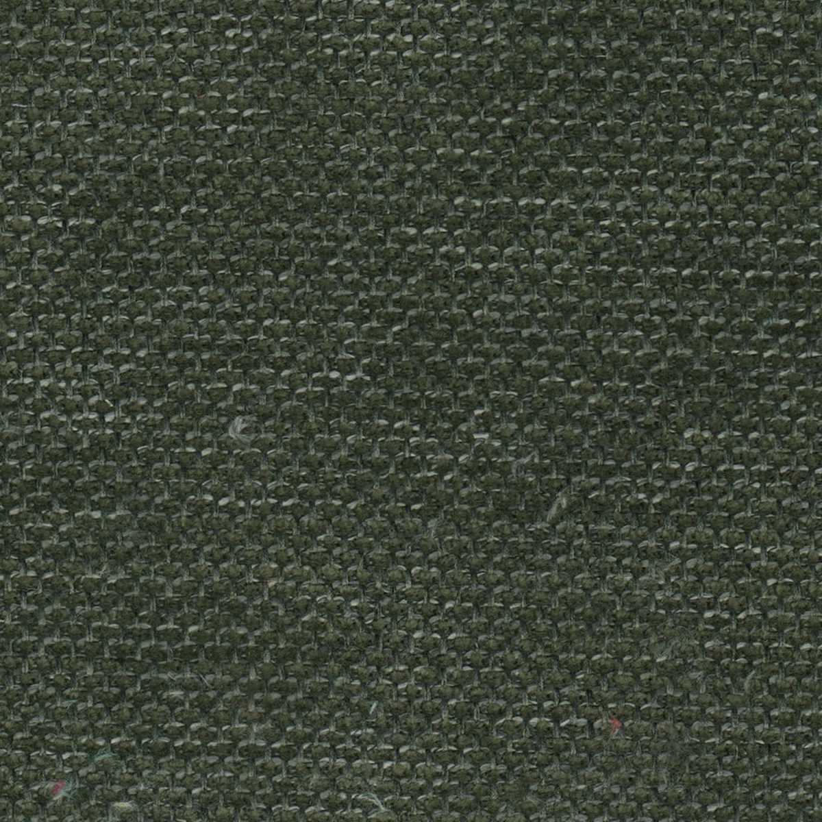 Derna 02 Charcoal