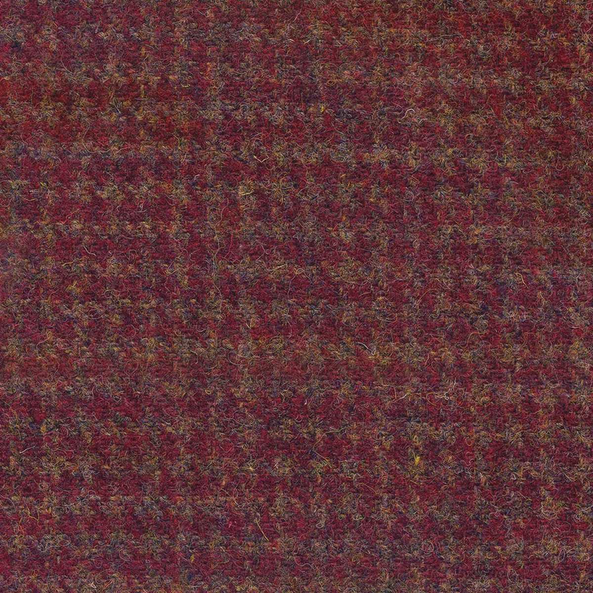 Dogtooth Burnt Umber