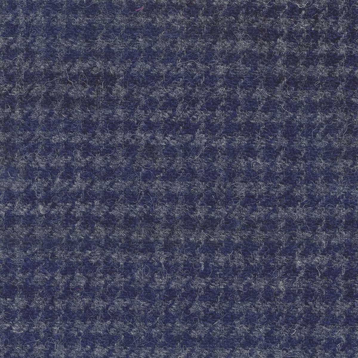 Dogtooth Ocean Spray