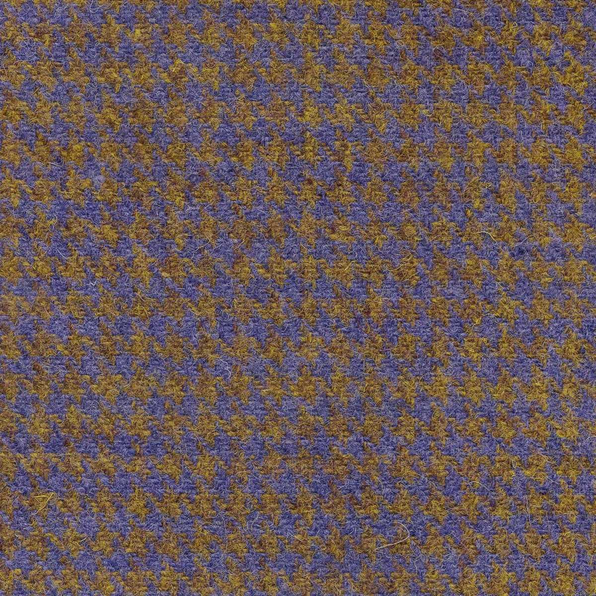 Dogtooth Winter Wheat