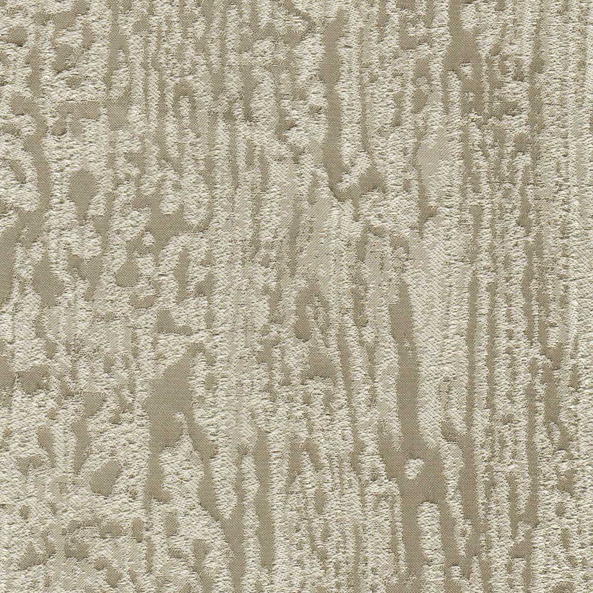 Hopea 02 Sandshell