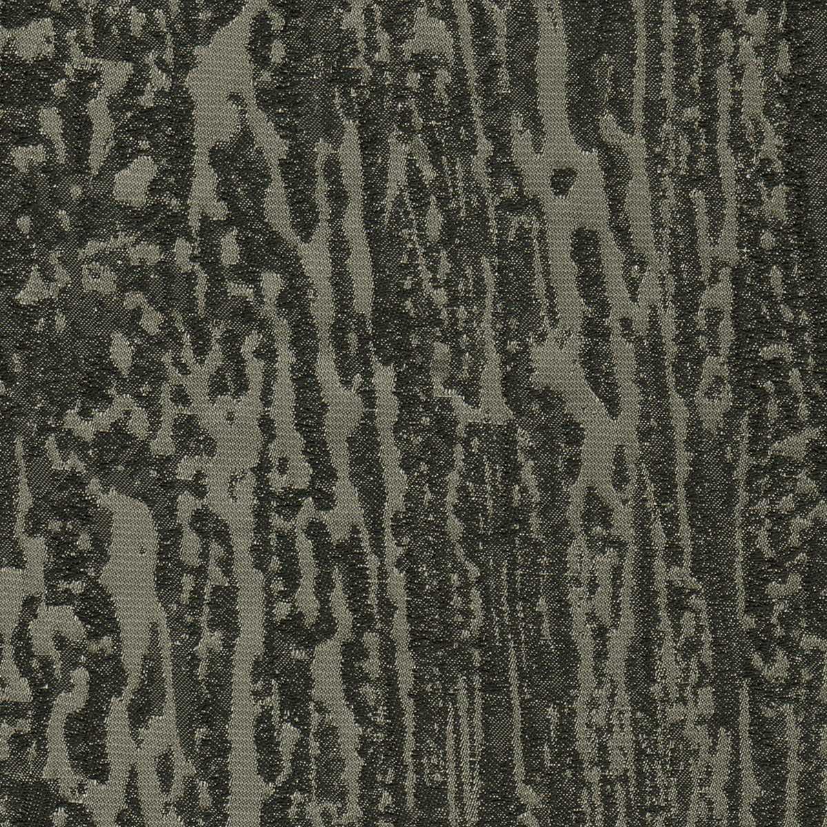 Hopea 03 Shadow