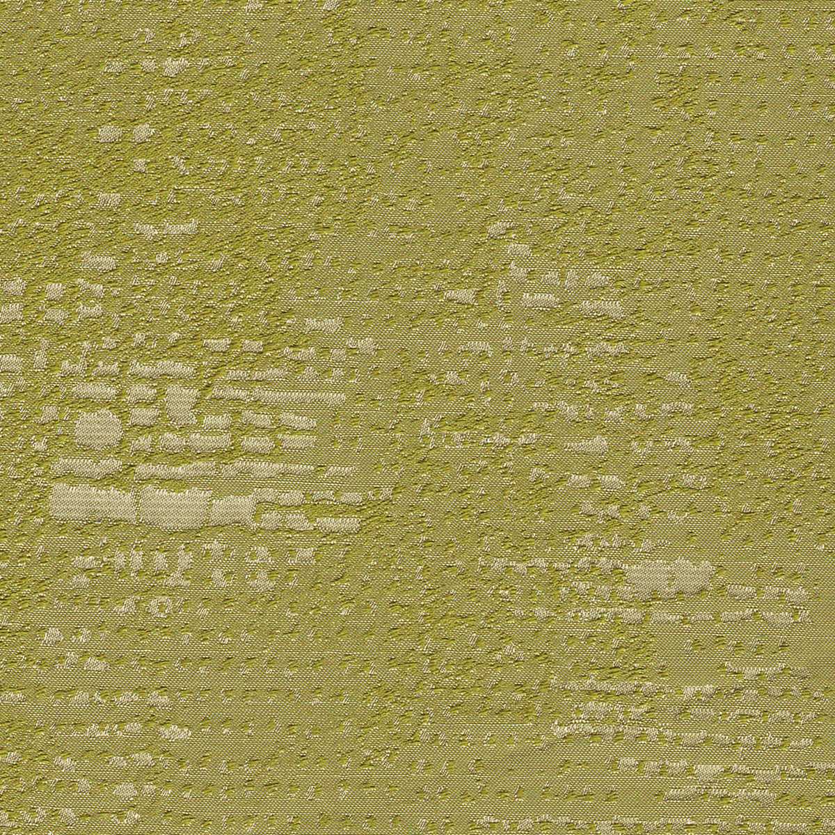 Iriana 06 Fern