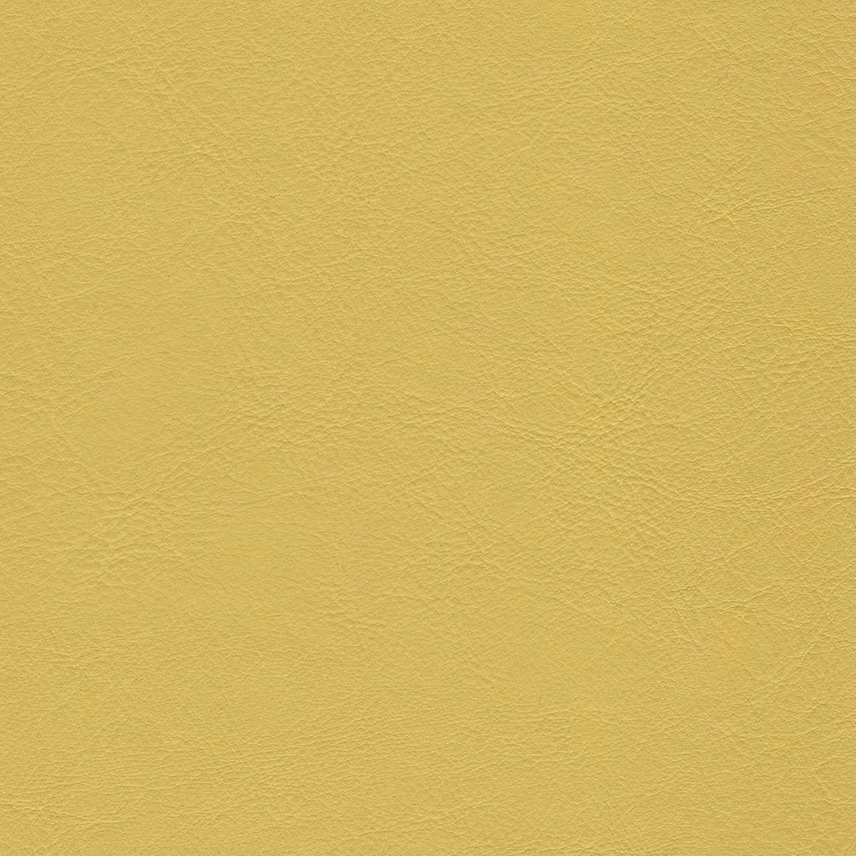 Orzan 43