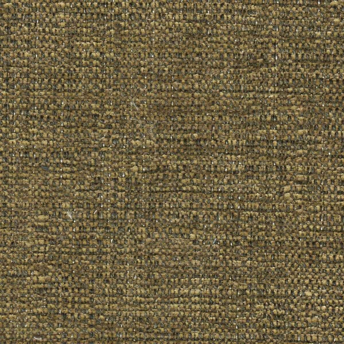 Tarsus 01 Coconut