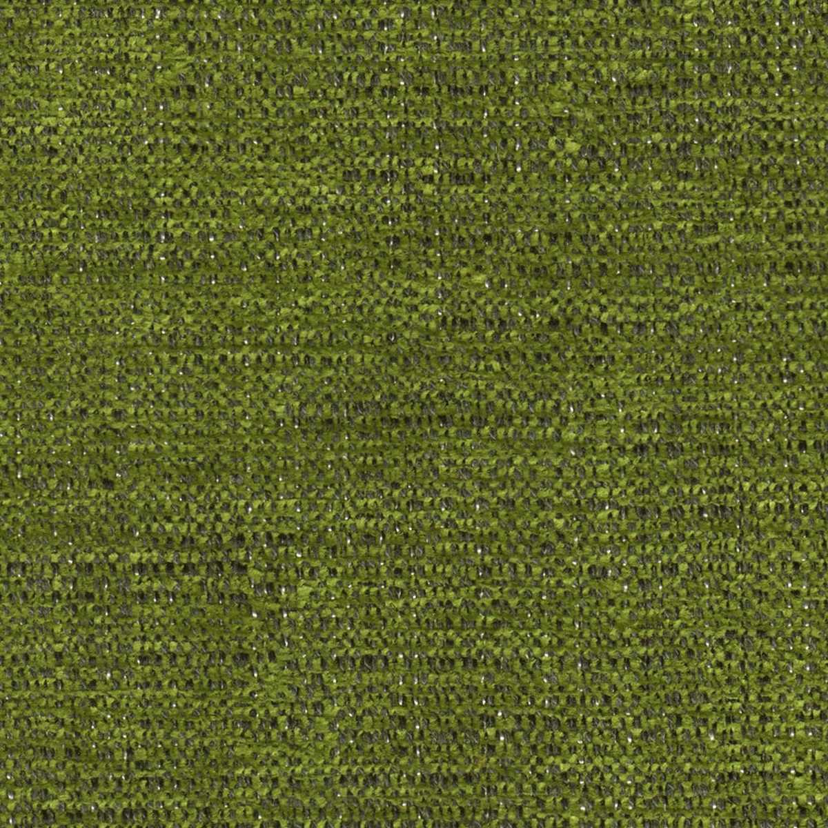 Tarsus 06 Moss