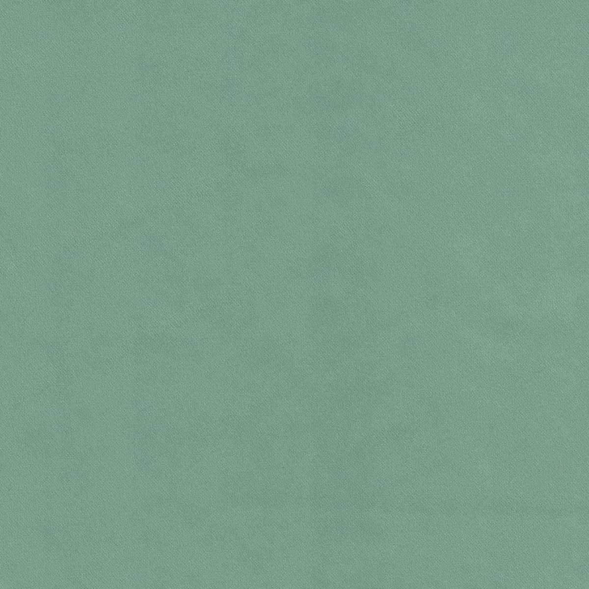 Urmia 07 Seagrass