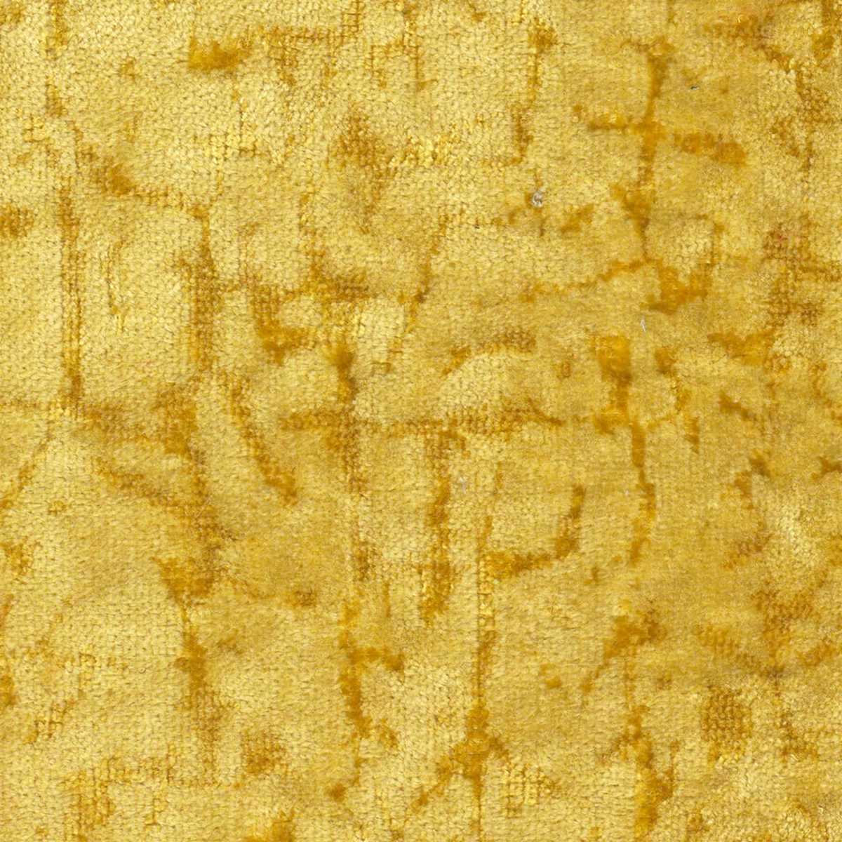 Vega 04 Corn