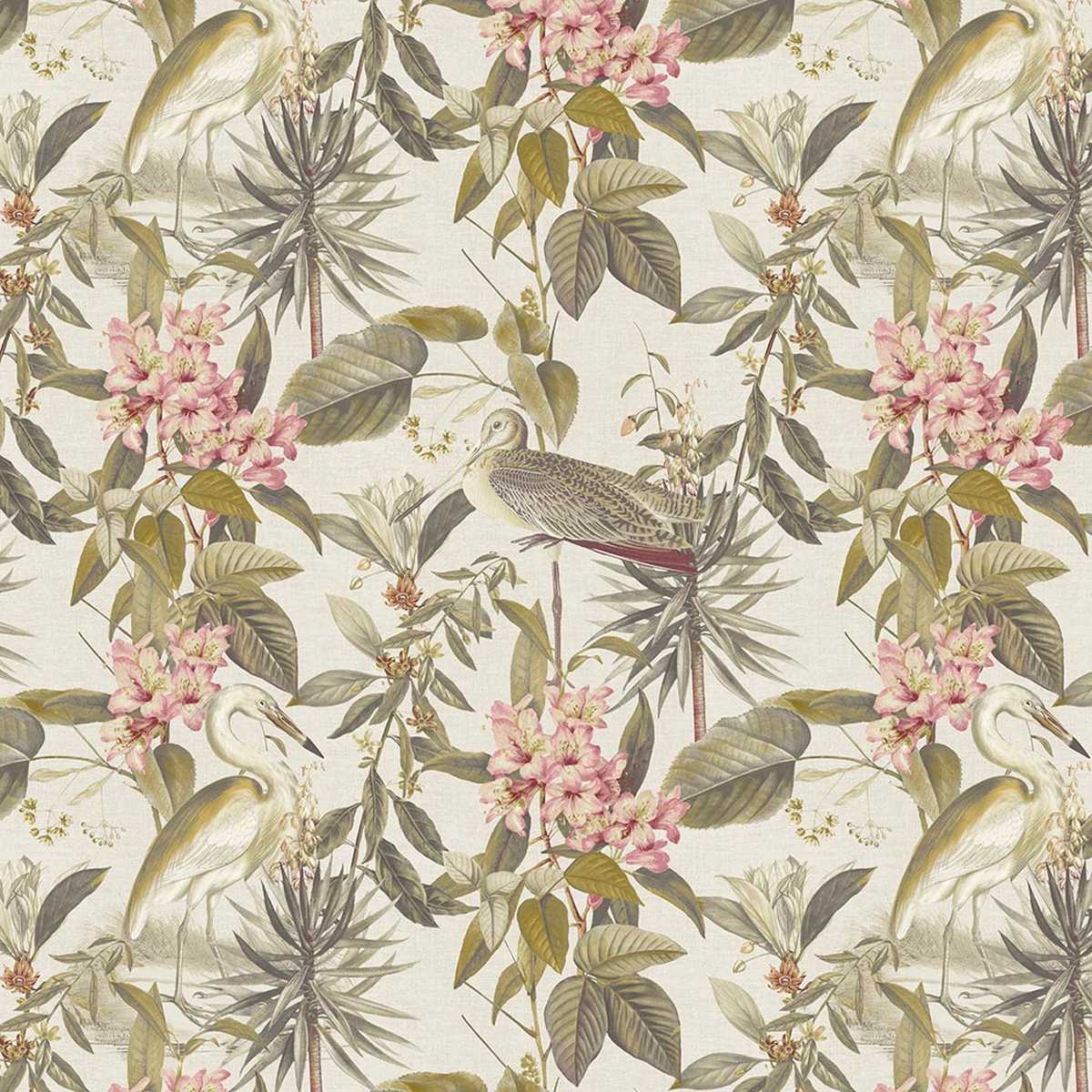 Designology
