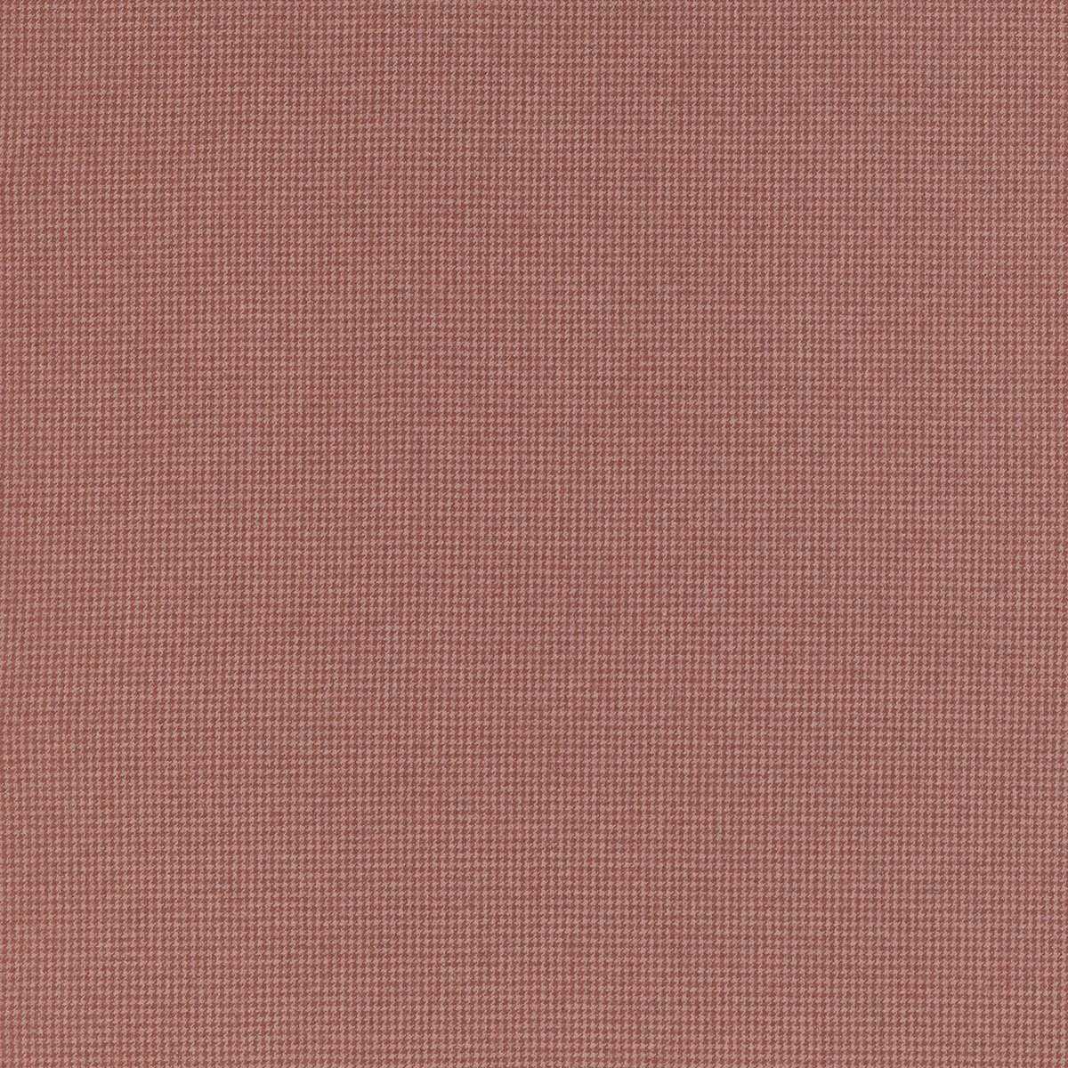 Edmund W711321