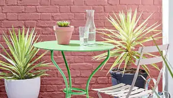 Limewash Paints