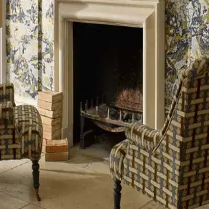 Decorative Velvets II