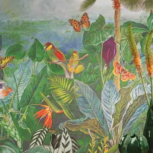 Birds of Paradise