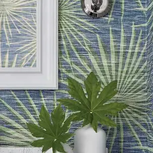 Tropics