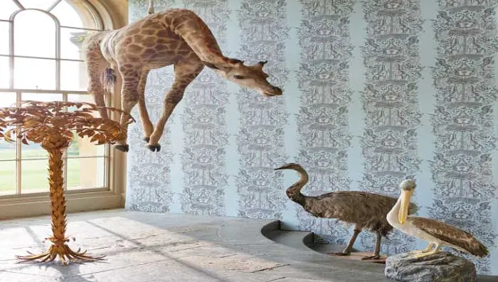 Animalia