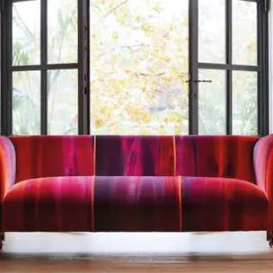 Amazilia Velvets