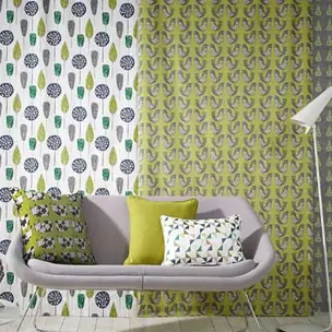 Scandi