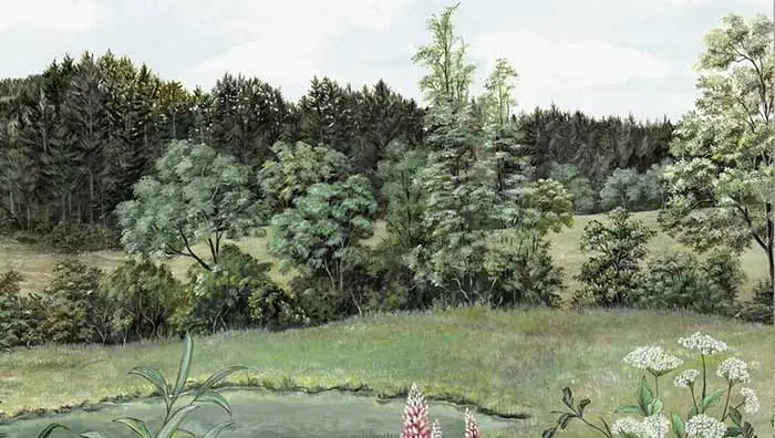 Marie Hartig-Painted Worlds