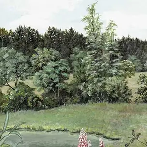 Marie Hartig-Painted Worlds