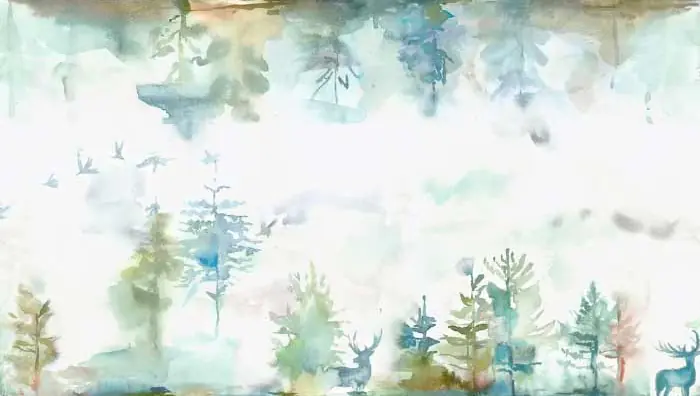 Wilderness