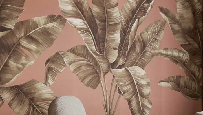 Palmera