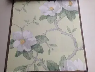magnolia-bough-zoffany