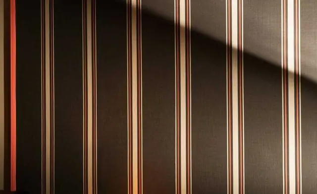 Dedar Library striped wallpaper in a dark interior