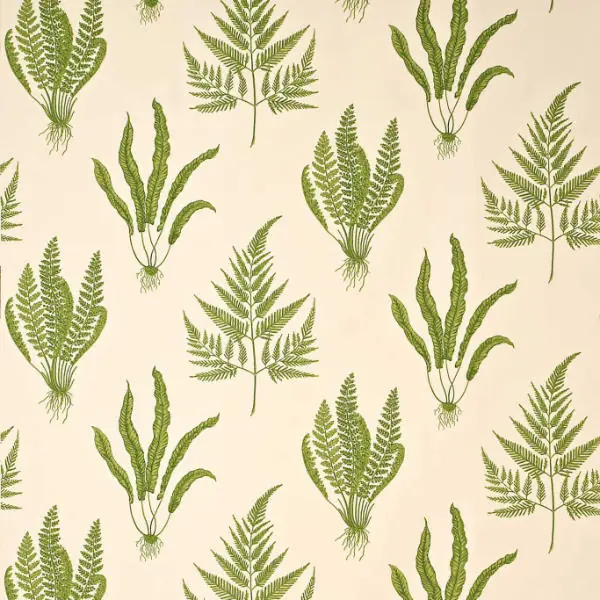 Botanical fabric pattern featuring detailed fern and foliage studies
