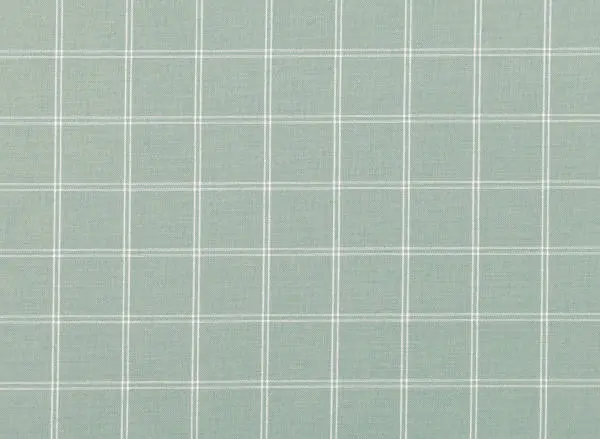 Wide-spaced windowpane check fabric with thin crossing lines