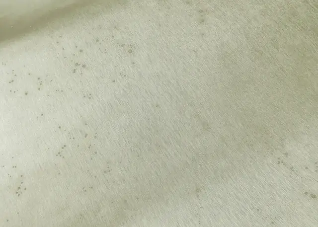 Close-up of softly reflective pale metallic wallpaper showing natural tonal variation