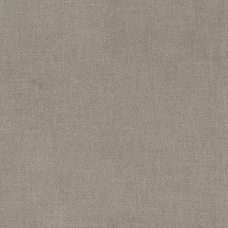 Kauri 36180905