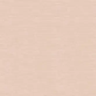 Petticoat Soft Pink 34065-117