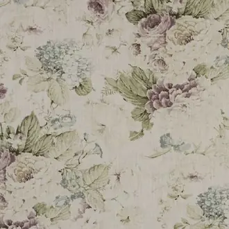 Constance Chintz