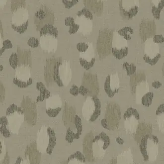 Skin 300544