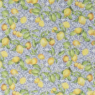Limoncino JA8094-050