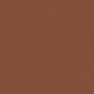 Papyrus 17361-009