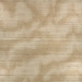Caractere ZW143-01