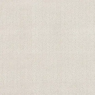 Dentella 132679
