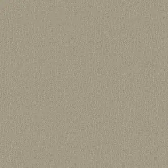 Designer Colours DC30043