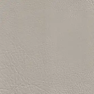 Stanford 11 Putty